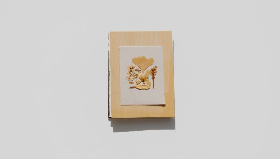 Wooden book with dried flowers and paper.