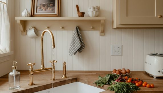 Cozy kitchen scene with sink, shelf, and groceries.